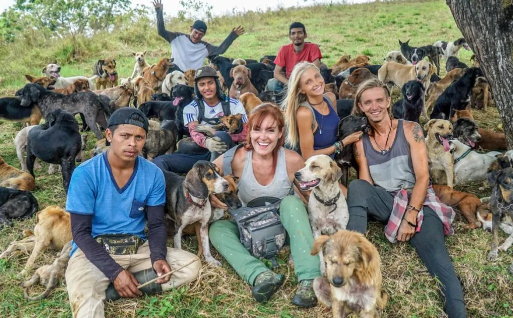 Honoring the Shelter for the Stray with a Dedicated Medical Clinic